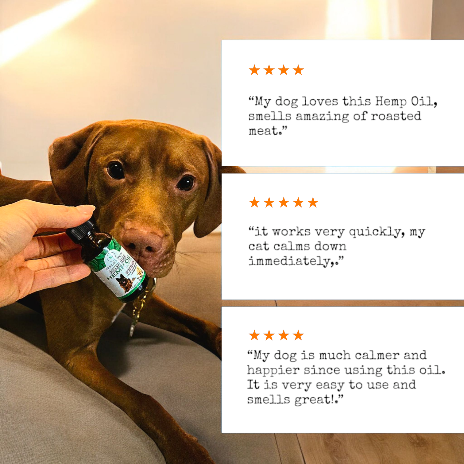 Full Spectrum Hemp oil for Dogs, Cats & Pets, Chicken Flavor - Image 8